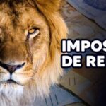 Imposto de renda com leão e fundo de dinheiro